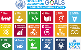 Sustainable Developmental Goals