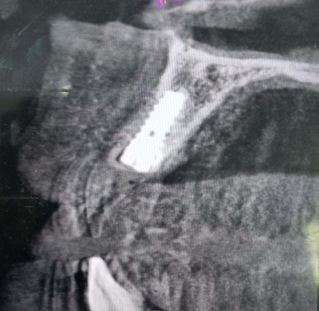 Screenshot_20250623_181128_WhatsAppBusiness